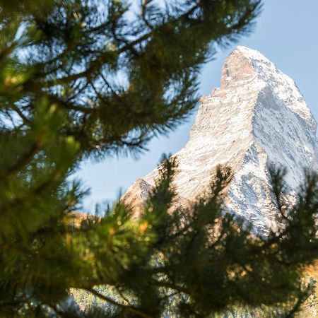 Bed & Breakfast Bijou Zermatt Eksteriør bilde