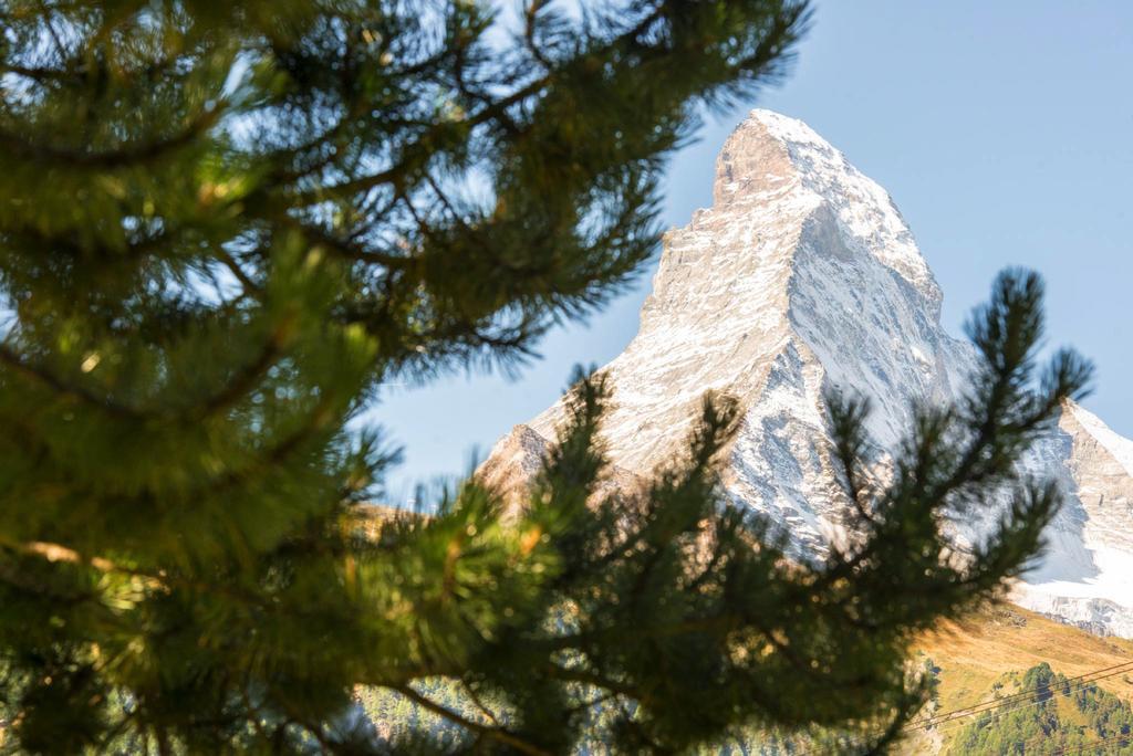 Bed & Breakfast Bijou Zermatt Eksteriør bilde